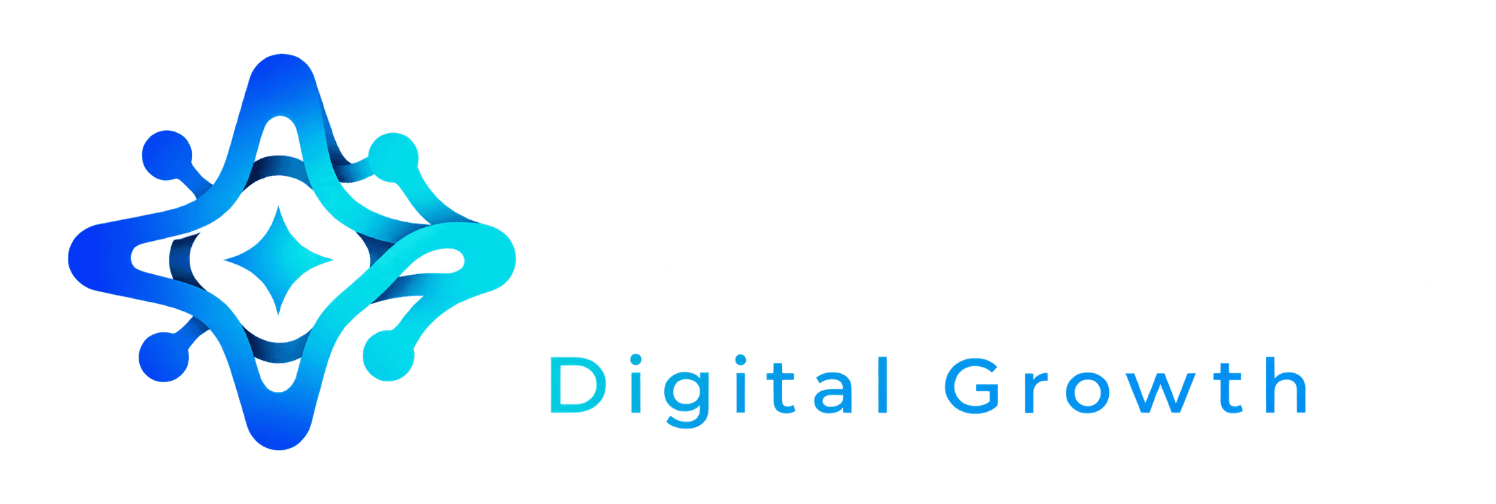 Novalize — Digital Growth